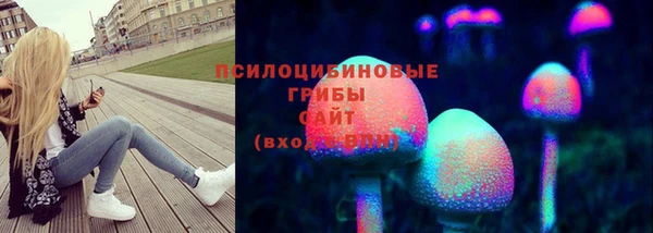 спиды Инта