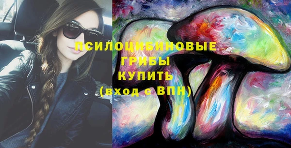 спиды Инта